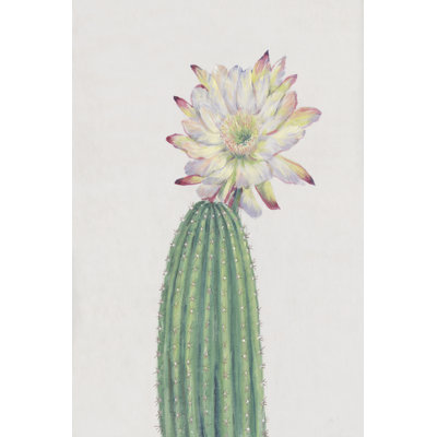 «Lazerrick Cactus Blossom I» par Tim Ottoole