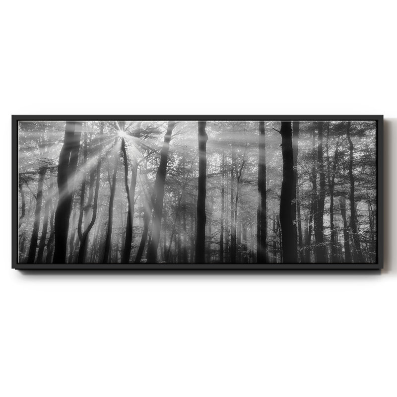 Breaking Through - toile encadrée, H 20 po x l 50 po