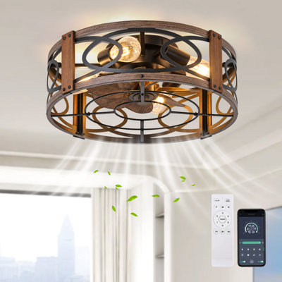 20" Farmhouse Reversible Caged Ceiling Fan With Light Kit And Remote Control