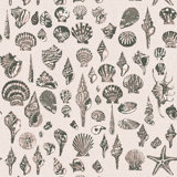 Lowcountry Love Shells Marsh Breeze Wallpaper by Megan Molten