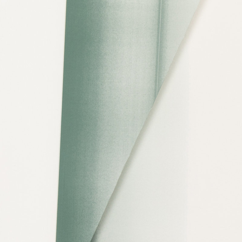 Color Form B Print by David Gray