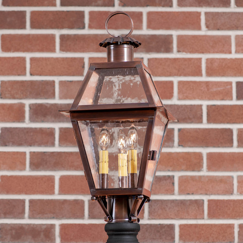 Transparent Lantern Head, Cooper