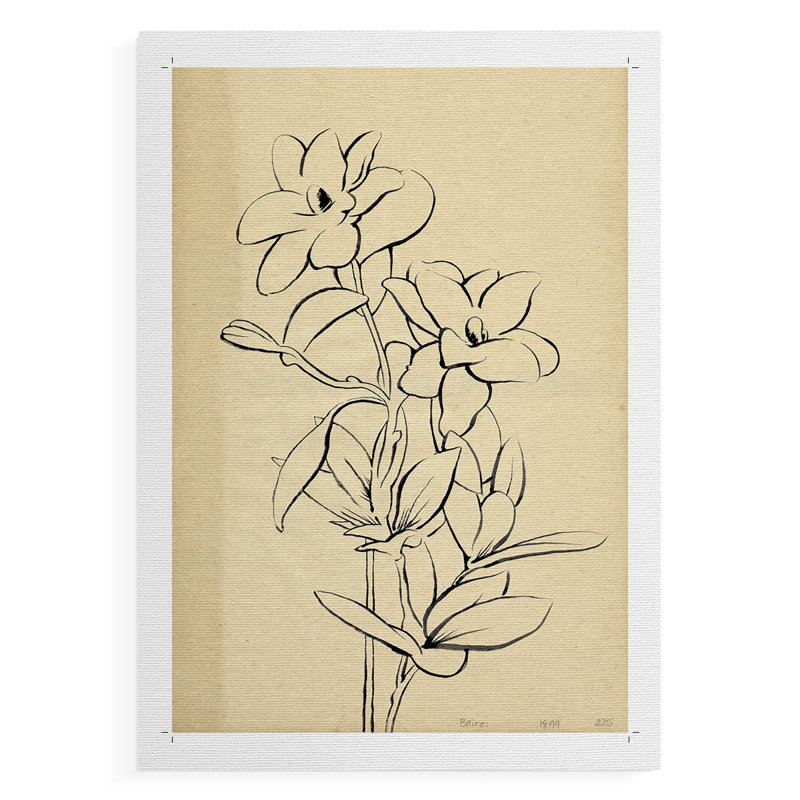 «Magnolia S croquis I», impression sur toile seulement - non encadrée, H 18 po x l 12 po