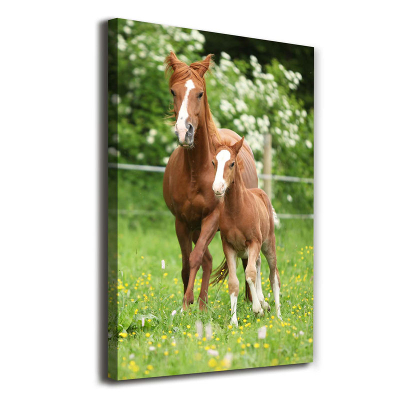 Mare And Foal - Wrapped Canvas Print