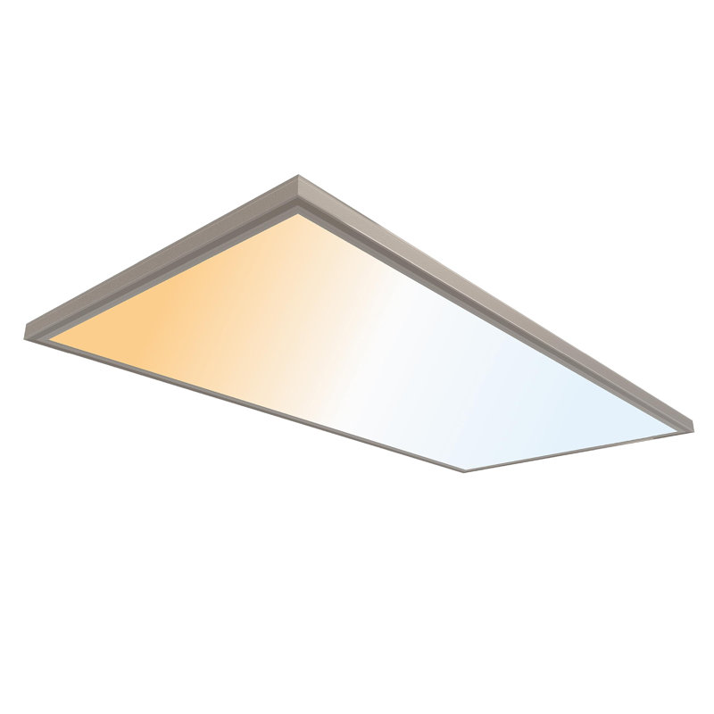 Panneau de plafonnier à fixation en surface - mince, bord éclairé, panneau plat encastré, L 48 po x P 24 po, Nickel brossé