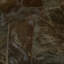 Fragments Rug - Coffee Bean 3.0m -615813435