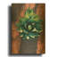 « Utah - Cactus 1 » par AKG, tableau mural en métal doré, 30,5 x 40,5 cm-2026798201
