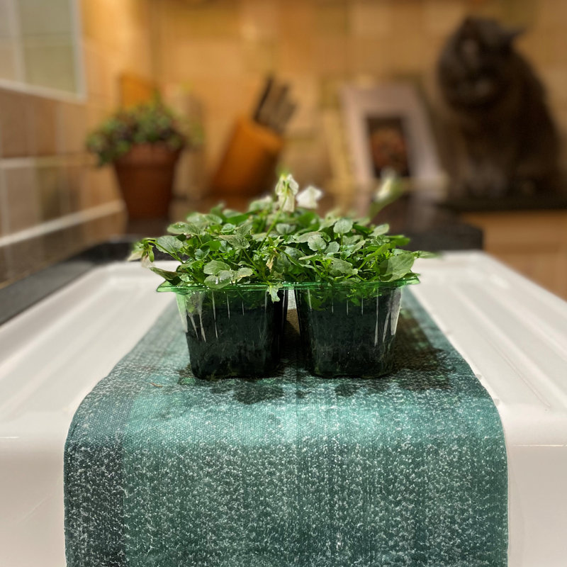 Charmin Watering Maintenance