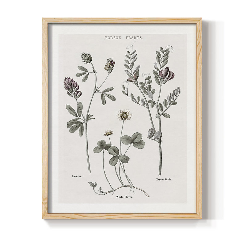 Multi Botanical I, reproduction encadrée - bois massif, H 21 po x l 17 po