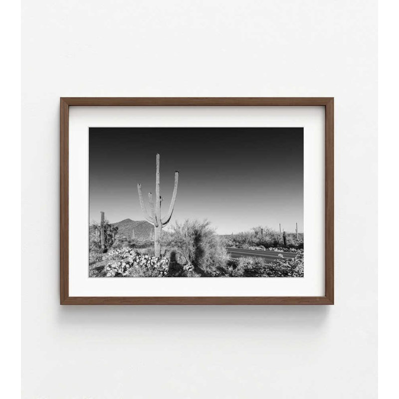 Desert Sentinel - Photographie de paysage en noir et blanc, H 8 po x l 10 po, Impression encadrée avec passe-partout, Brun