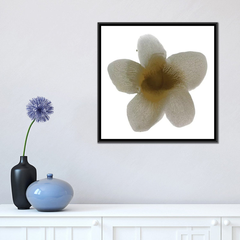 «Taupe Bloom II», reproduction sur toile, H 18 po x l 18 po x P 1,5 po, Toile avec cadre flottant noir, Pas de tapis