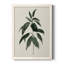 «Soft Greenery II», peinture sur toile encadrée-969736345-969736344