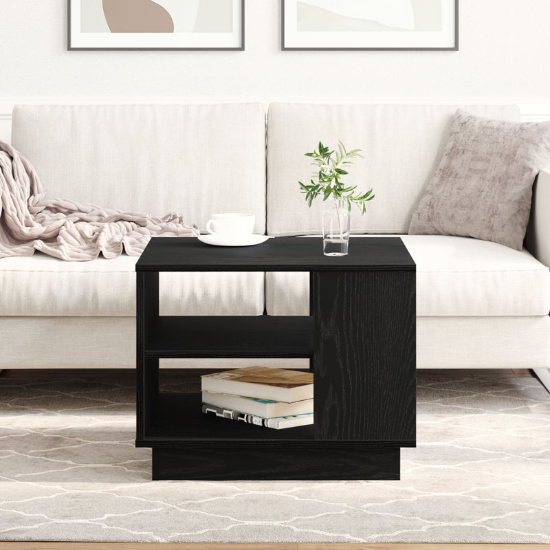 Coffee Table with Storage