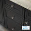Poignée d'armoire antimicrobienne 1,125 po Mushroom-62586189