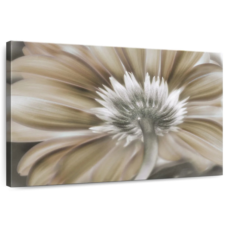 Harnek Floral Dreamin ', H 8 po x l 12 po