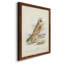 Toile encadrée de qualité supérieure Hawk Owl - prête à être accrochée-604141485-604141484