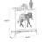Olmos
