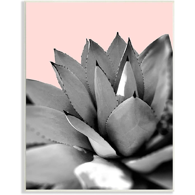 Unframed Photograph on MDF, Wood, 15" H x 10" W x 0.5" D