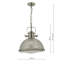 1 - Light Satin Nickel Pendant