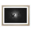 Flying Dove Bird - Picture Frame Graphic Art Print-56713110-56713111