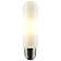 65 Watt Equivalent T10 E26/Medium (Standard) Dimmable LED Bulb