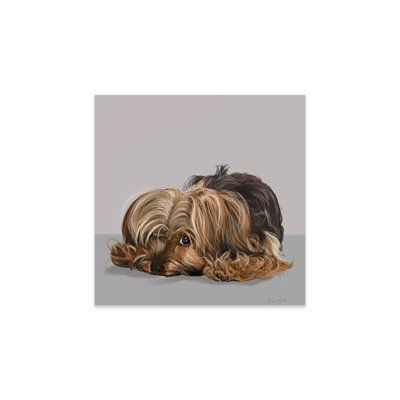 Yorkshire Terrier, un œil ouvert, impression sur verre acrylique