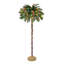 72 plantes