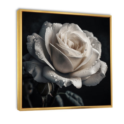 Exquises gouttelettes de rosée blanche