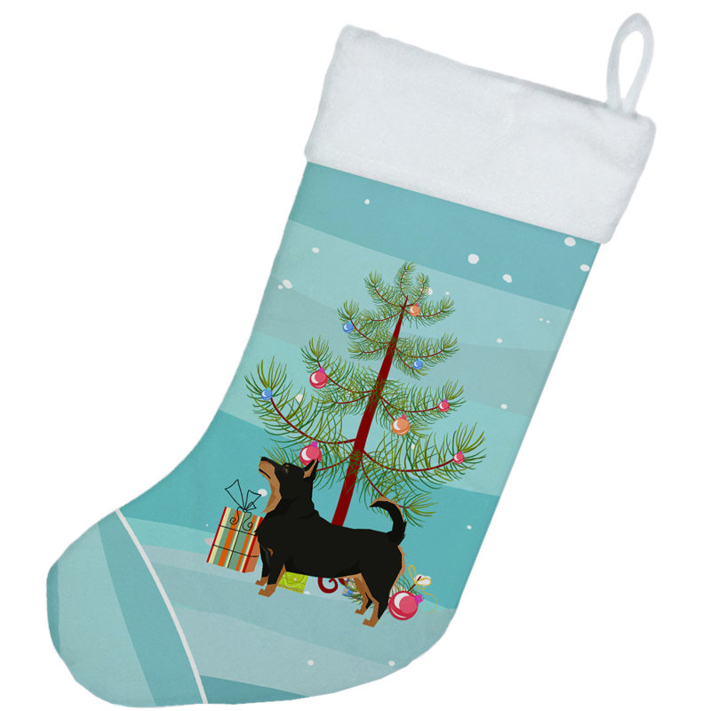 Chaussette de noël joyeux de noël, Lancashire terrier