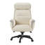 Fauteuil de direction ergonomique Eureka-80862241