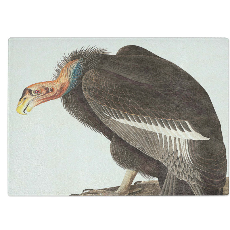 Tempered Glass Californian Vulture Chopping Board, 28.5 cm W x 20 cm L