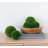 5 " H Faux Boxwood Topiary