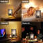 Verdie Table Lamp