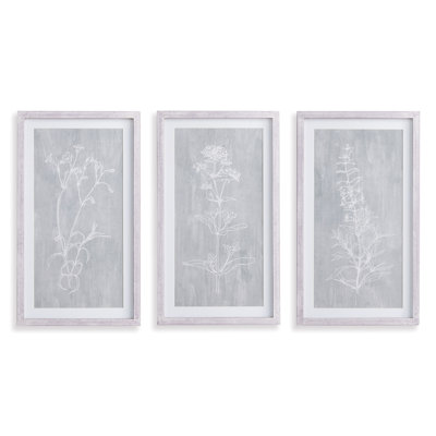 Pinar Sketched Botanical Prints, Set of 3