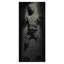 Tapis Han Solo Star Carbonite Star Wars | 39 po x 91 po