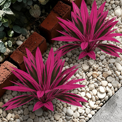 4 pièces plantes artificielles cordyline magenta 21 pouces d'extérieur, résistantes aux rayons UV pour jardinières d'extérieur, porche, patio, jardin