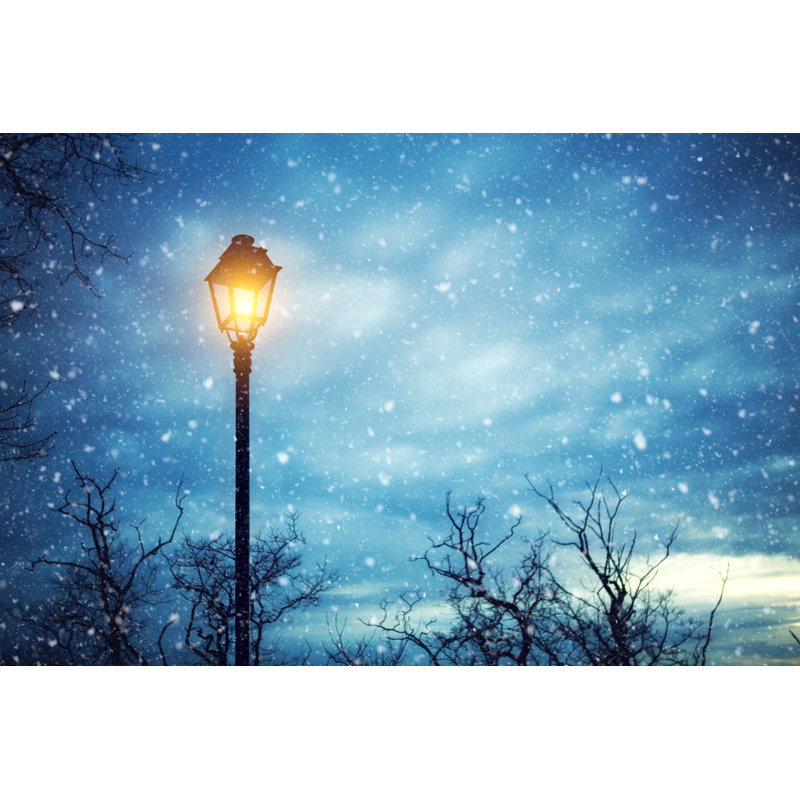 Winter Night by Borchee - No Frame Print on Canvas, 51cm H x 76cm W
