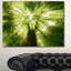 Sunlight Peeking Through Green Tree - impression d'art graphique-712535467-712535470