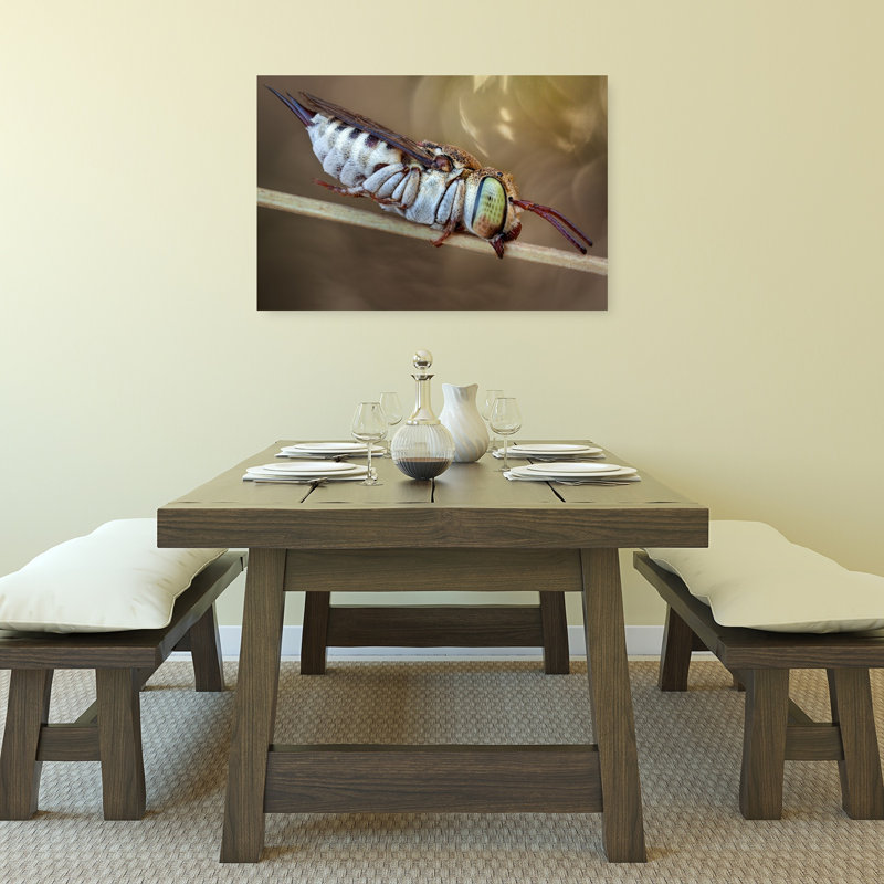 Abeille rayée au repos - Affiche contemporaine d'abeille, H 24 po x l 36 po