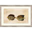 Horizontal Chatodon 3 Painting