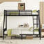 Alyciah Kids-446142296