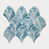 Blue/Blue Iris