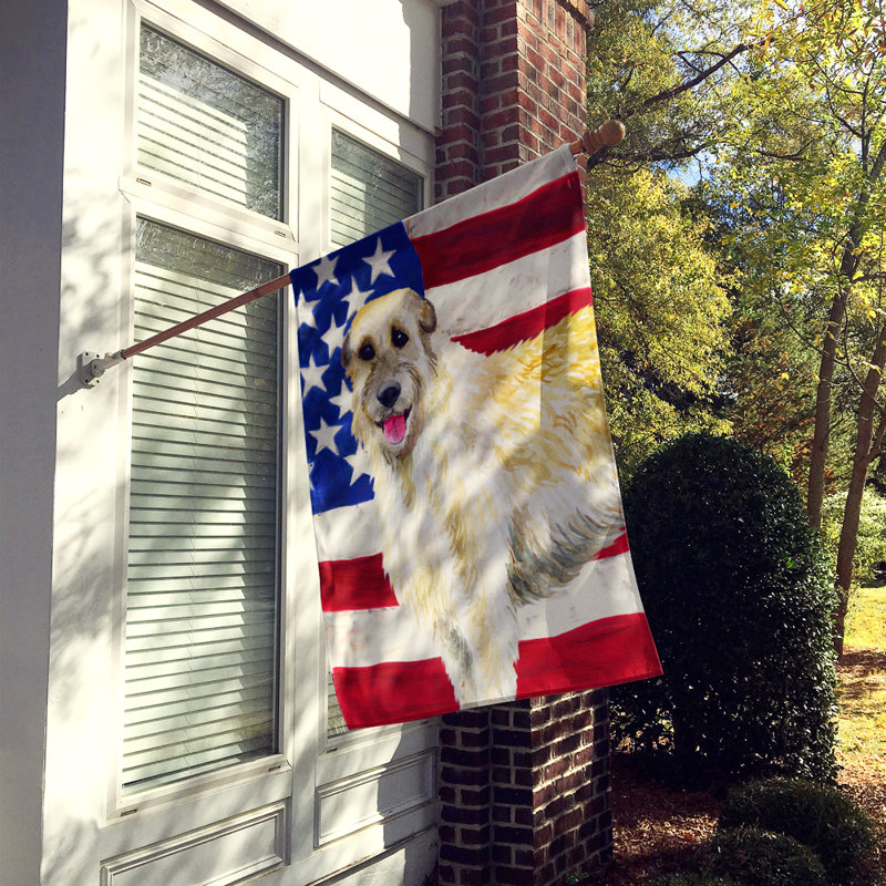 Drapeau de maison en polyester à 2 côtés Shahnur, Lévrier irlandais beige