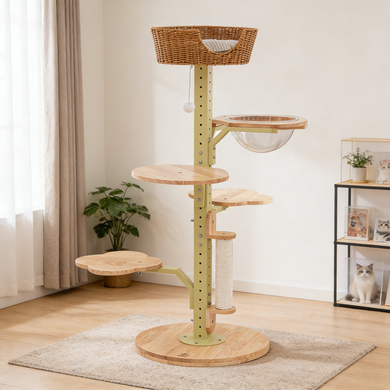 Structure d'escalade simple et tendance