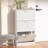 Shoe Storage Cabinet With 6 Flip Drawers-1920854119