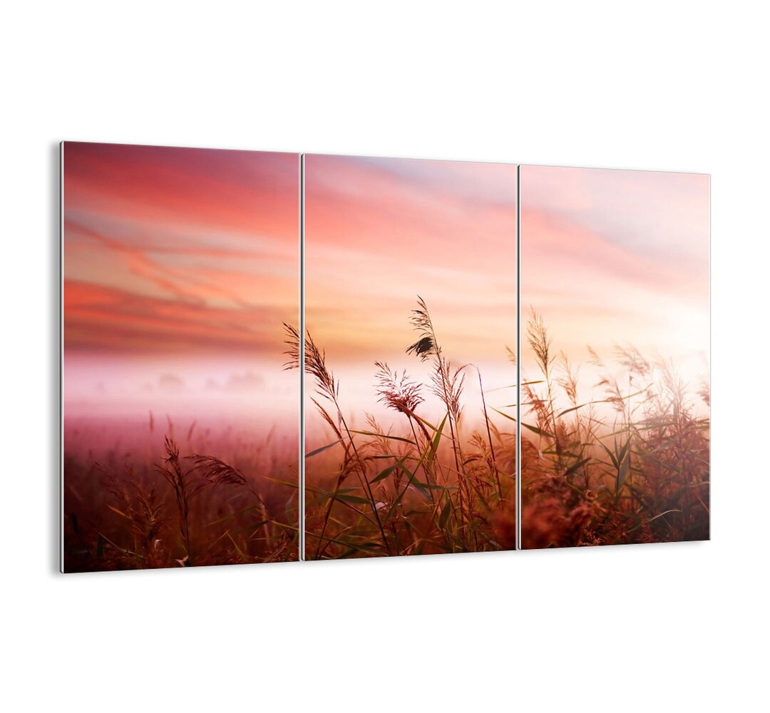 3-tlg. Glasbilder-Set - Fotografie „Kites, Dandelions, Wind”