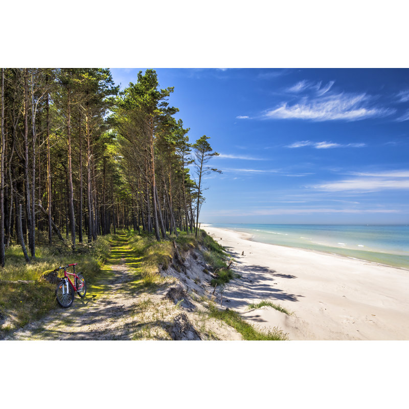 Path At The Seashore by Ewg3D - Wrapped Canvas Print, 30cm H x 46cm W