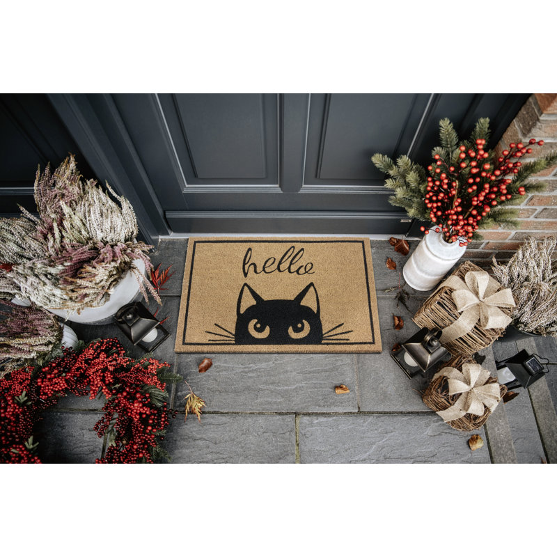 45 W x 70 L cm Non-Slip Indoor Outdoor Door Mat