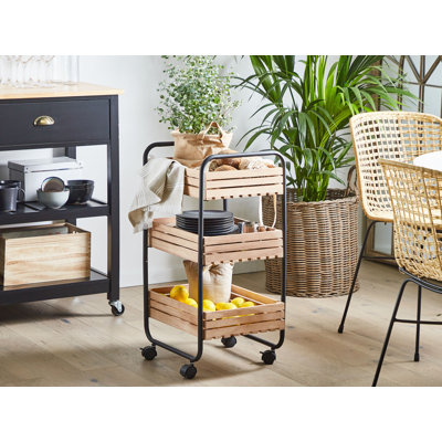 Josue Metal Bar Cart