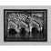 Zebra Drinking - Single Picture Frame Art Print